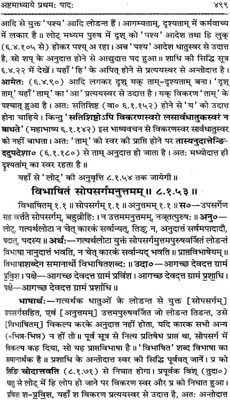 Astadhyayi Bhashya (Set of 3 Volumes) - Retail Maharaj