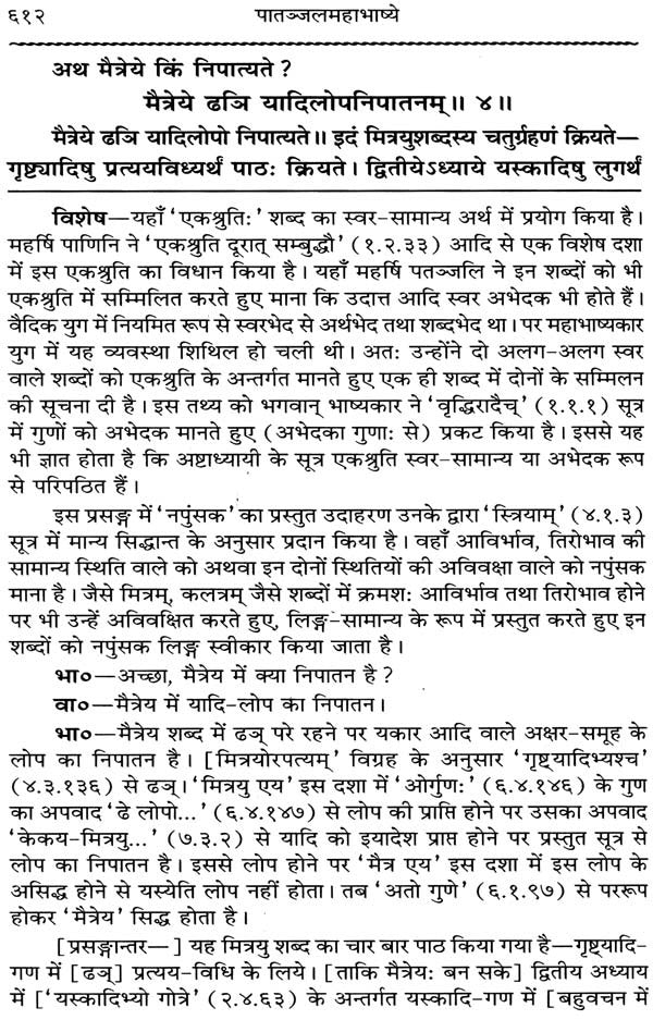 Mahabhashya With Explanation In Hindi (Set of 10 Books) - Retail Maharaj
