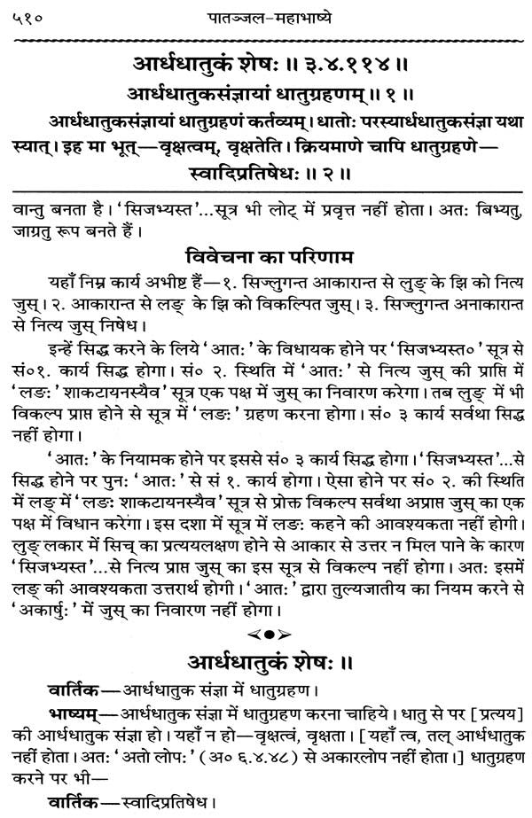 Mahabhashya With Explanation In Hindi (Set of 10 Books) - Retail Maharaj