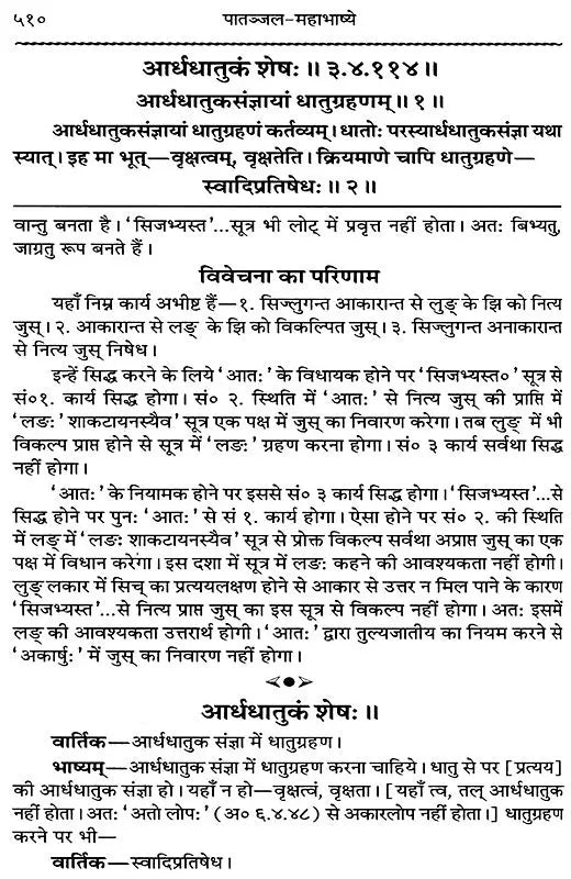 Mahabhashya With Explanation In Hindi (Set of 10 Books) - Retail Maharaj