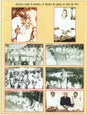 Smarika: Yudhishthir Mimamansak Commemoration Volume - Retail Maharaj