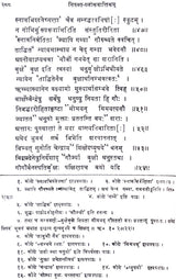 Nirukta Shloka Varttikam - Retail Maharaj