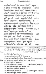 Nirukta Shloka Varttikam - Retail Maharaj