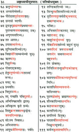 Varnocharana Shiksha of Panini (Sanskrit Text with Hindi Translation) - Retail Maharaj