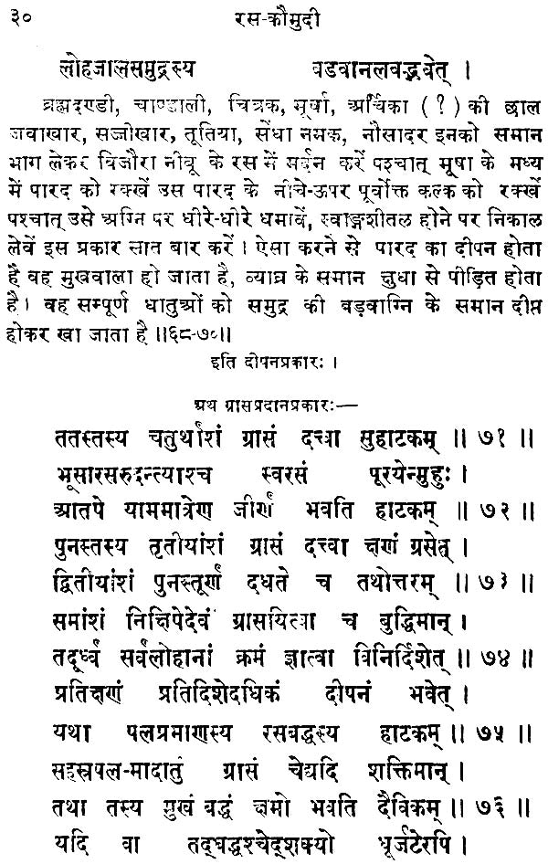 रसकौमुदी: Rasa Kaumudi - Retail Maharaj
