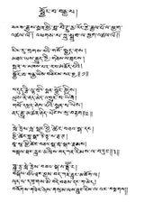 Yogasataka: Texte Médical Attribué à Nagarjuna (An Old and Rare Book) - Retail Maharaj