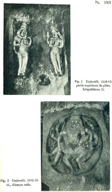 Sanctuaires Rupestres De L’Inde Du Sud – Set of 2 Volumes - Retail Maharaj
