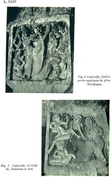 Sanctuaires Rupestres De L’Inde Du Sud – Set of 2 Volumes - Retail Maharaj