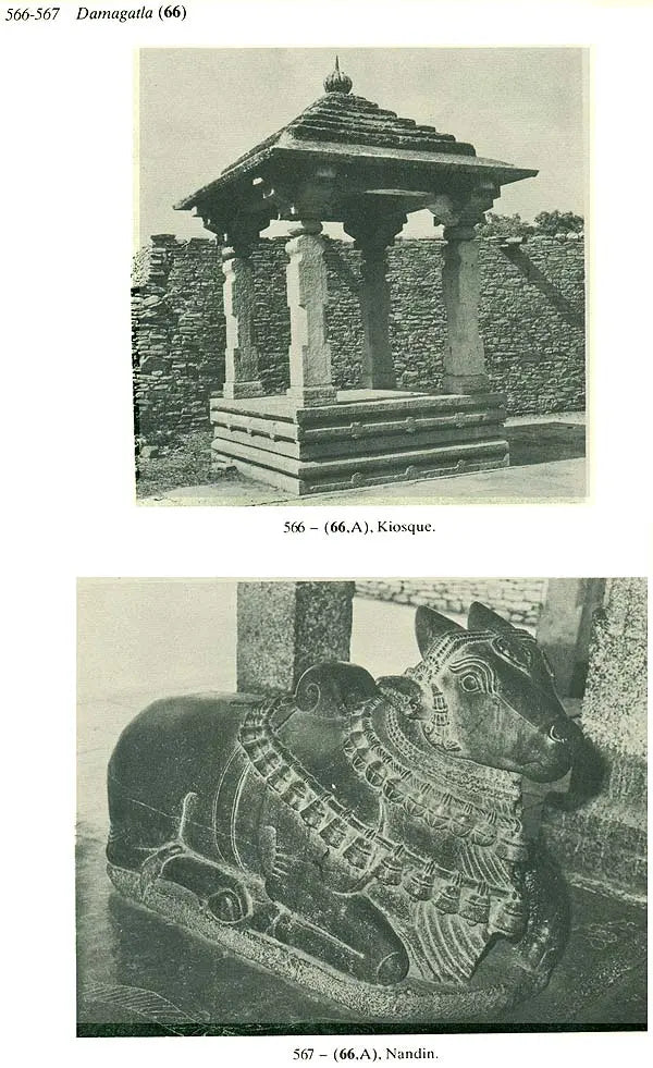 Entre Alampur et Srisailam – Recherches Archéologiques en Andhra Pradesh (Set of 2 Volumes) - Retail Maharaj