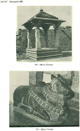 Entre Alampur et Srisailam – Recherches Archéologiques en Andhra Pradesh (Set of 2 Volumes) - Retail Maharaj
