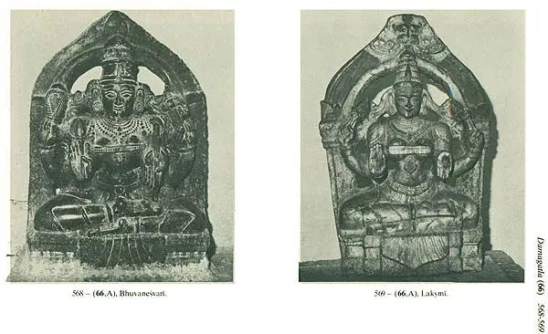 Entre Alampur et Srisailam – Recherches Archéologiques en Andhra Pradesh (Set of 2 Volumes) - Retail Maharaj