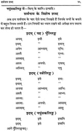 Shabda Rupavali (An Old Book) - Retail Maharaj