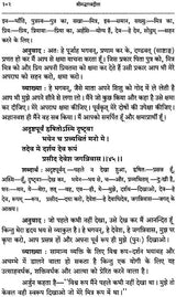 Srimad Bhagavad Gita With Word-to-Word Meaning Hindi Translation - Retail Maharaj