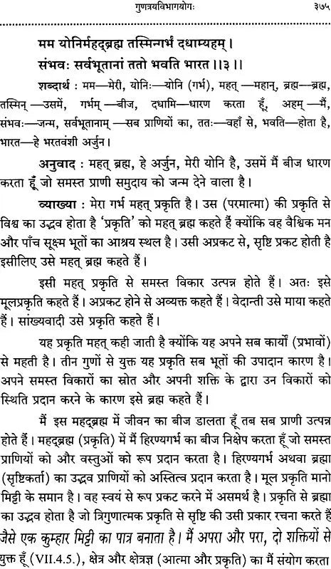 Srimad Bhagavad Gita With Word-to-Word Meaning Hindi Translation - Retail Maharaj