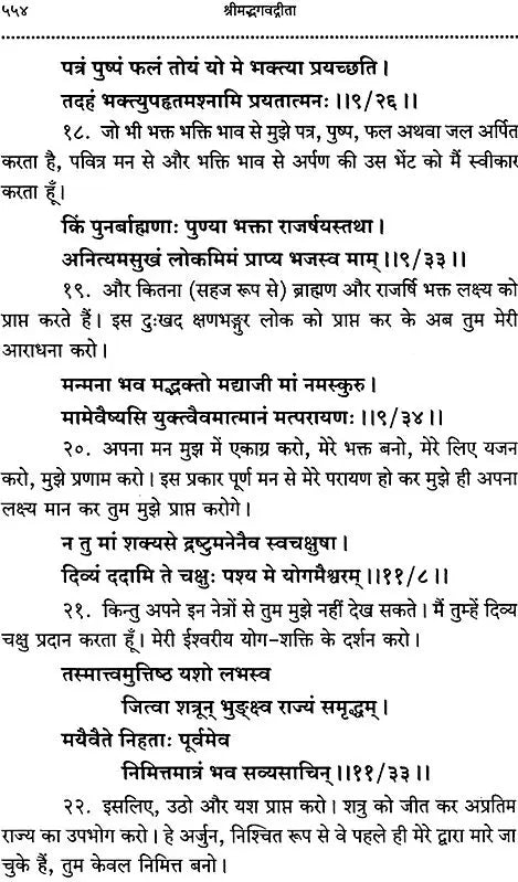 Srimad Bhagavad Gita With Word-to-Word Meaning Hindi Translation - Retail Maharaj