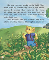 Story Book : Animal Stories - Large Print - Retail Maharaj