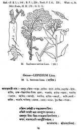 Indian Herbal Medicine in Bengali (Vol- I, An Old Book)