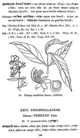 Indian Herbal Medicine in Bengali (Vol- I, An Old Book)