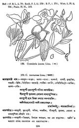 Indian Herbal Medicine in Bengali (Vol-II An Old Book)