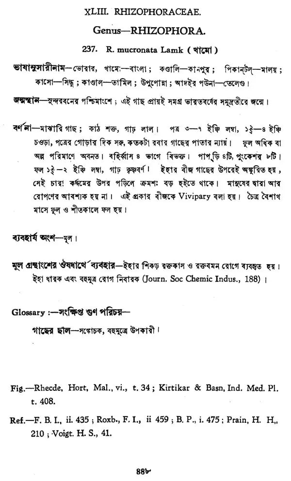 Indian Herbal Medicine in Bengali (Vol-II An Old Book)