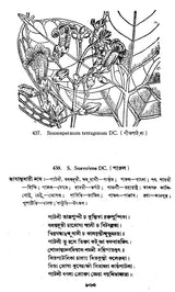 Indian Herbal Medicine in Bengali (Vol- III An Old Book)