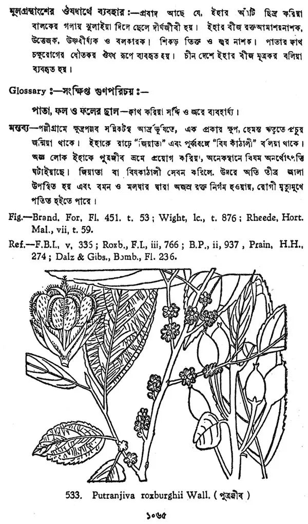 Indian Herbal Medicine in Bengali (Vol- IV An Old Book)