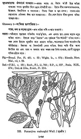 Indian Herbal Medicine in Bengali (Vol- IV An Old Book)