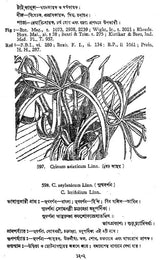 Indian Herbal Medicine in Bengali (Vol- V, An Old Book)