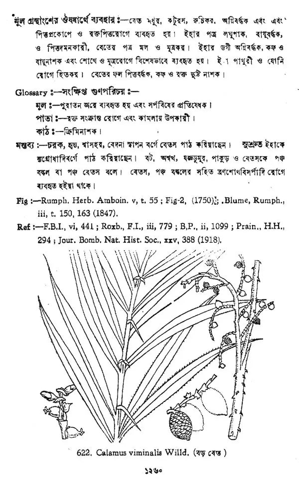 Indian Herbal Medicine in Bengali (Vol- V, An Old Book)