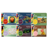 PanPastel Colours Set of 20 (Professional Artist Soft Pastels) - Retail Maharaj