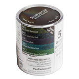 PanPastel Colours Set of 5 (Professional Artist Soft Pastels) - Retail Maharaj
