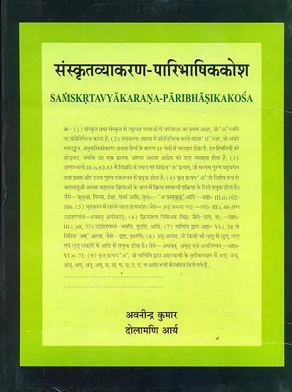 Technical Dictionary of Sanskrit Grammar - Retail Maharaj