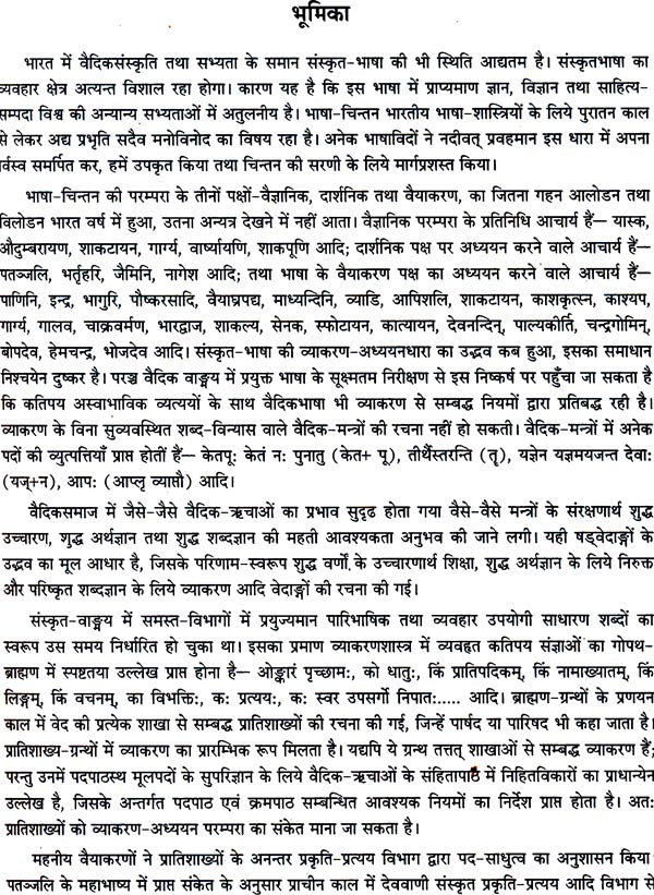 Technical Dictionary of Sanskrit Grammar - Retail Maharaj