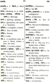 The Concise Sanskrit English Dictionary - Retail Maharaj