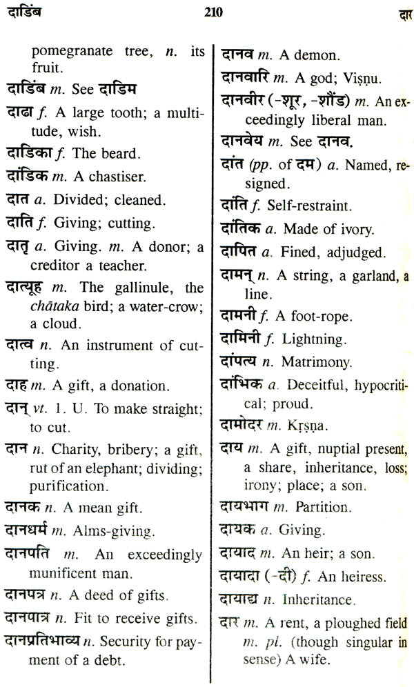 The Concise Sanskrit English Dictionary - Retail Maharaj