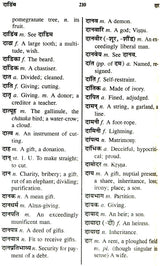The Concise Sanskrit English Dictionary - Retail Maharaj