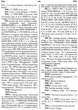The Student's Sanskrit-English Dictionary (Recomposed & Enlarged Edition) - Retail Maharaj