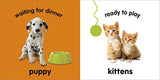 Baby Touch and Feel Baby Animals - Retail Maharaj