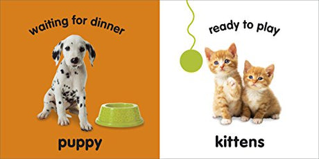 Baby Touch and Feel Baby Animals - Retail Maharaj