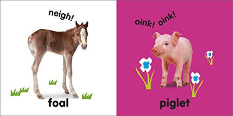 Baby Touch and Feel Baby Animals - Retail Maharaj