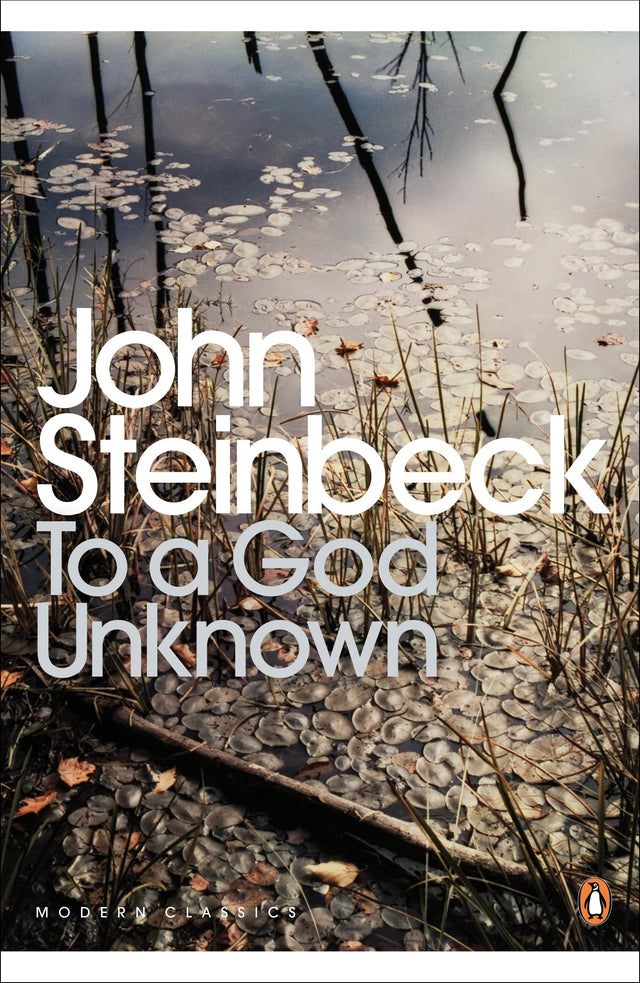 To A God Unknown - Retail Maharaj