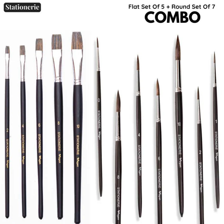 Stationerie Combo Brush Set of 12 Matte Finish - Retail Maharaj