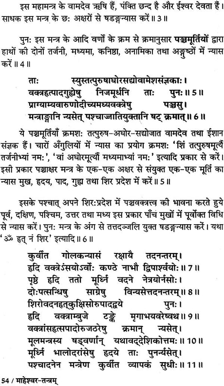 माहेश्वर तंत्र (संस्कृत एवं हिन्दी अनुवाद) - Maheshwar Tantra - Retail Maharaj