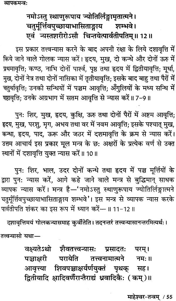 माहेश्वर तंत्र (संस्कृत एवं हिन्दी अनुवाद) - Maheshwar Tantra - Retail Maharaj