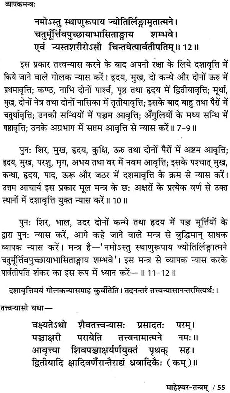 माहेश्वर तंत्र (संस्कृत एवं हिन्दी अनुवाद) - Maheshwar Tantra - Retail Maharaj