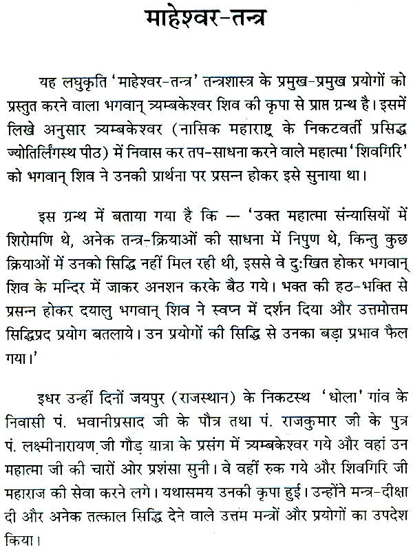Maheshwar Tantra [Hindi] - Retail Maharaj