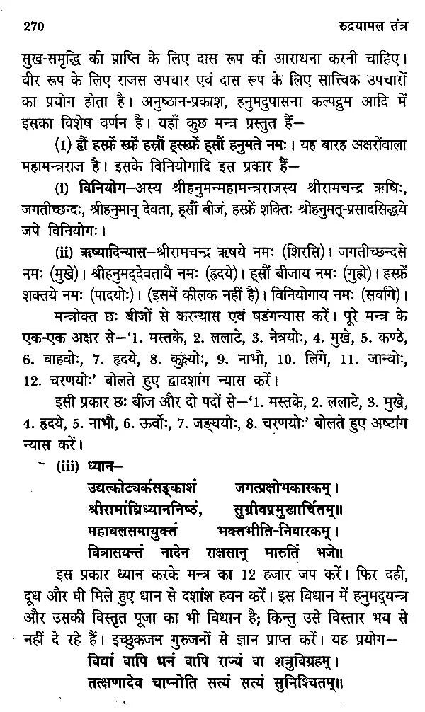 रुद्रयामल तंत्र : Rudrayamala Tantra - Retail Maharaj