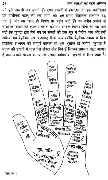हस्त रेखाओं का गहन अध्ययन- Study of Palm Lines - Retail Maharaj