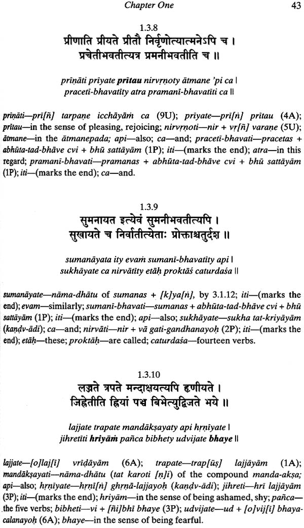 Prayuktakhyata-Manjari (A Lexicon of Verbs That are Actually in Use) - Retail Maharaj