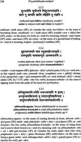 Prayuktakhyata-Manjari (A Lexicon of Verbs That are Actually in Use) - Retail Maharaj